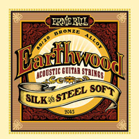 ERNIE BALL 2045 -- ������ ��� ������������ ������ Silk & Steel Regular (11-15-22w-30-42-52)