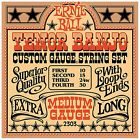 ERNIE BALL 2303 --   4 .   Stainless Steel Medium (10-15-24w-30)
