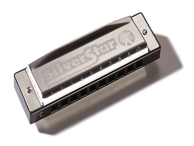 HOHNER SILVER STAR 504/20 G (M50408) -- ������ ��������� - Richter