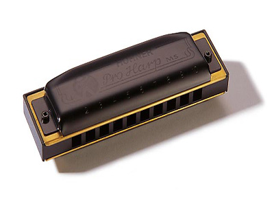 HOHNER PRO HARP 562/20 MS B (M564126) - ������ ��������� - Richter Modular System (MS)