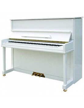 BECKER JP-13FA-123-K -- �������, ����� ������������ 123 ��.