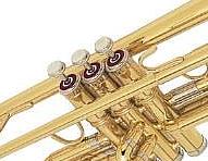 BACH -- ��������  ����������� �/������� ����� ��������