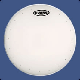 14B EVANS B14STD --      14", ,  ST, ,  
