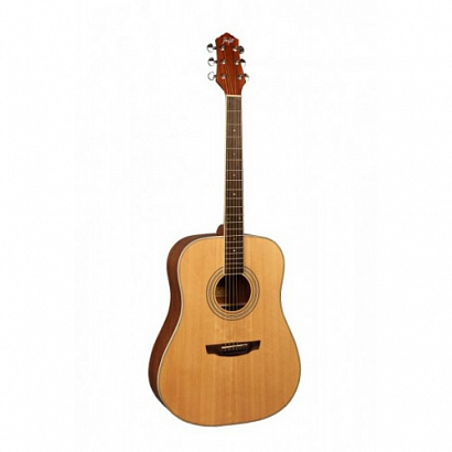 FLIGHT AD-200 NA+Bag --  , Dreadnought,   - ,    
