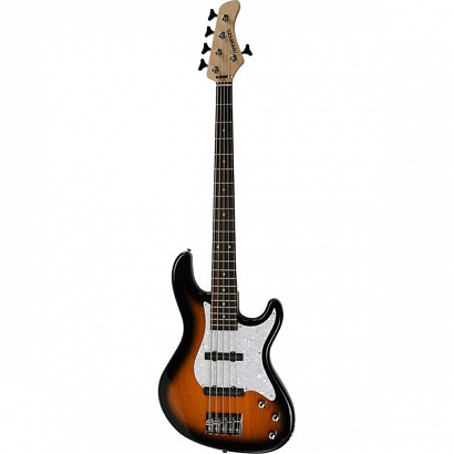 FERNANDES R5X 3SB -- 5-�������� ��� Retrospect 5X, Sunburst