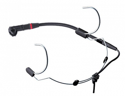 AKG C555L  --    , ,   
