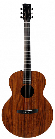 ENYA EA-X1EQ+ -- ������������������� ������,����� � ���������