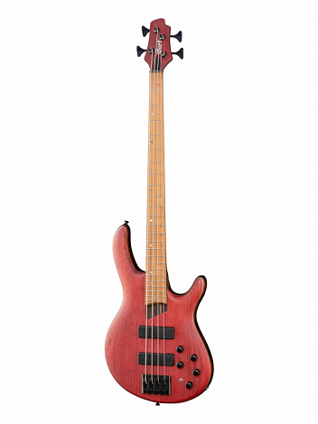 CORT B4-Element-OPBR Artisan Series -- ���-������, ���� �������