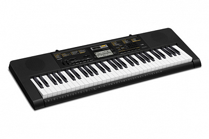 CASIO CTK2500 -- , 61 , 400 , 100 , 110 .