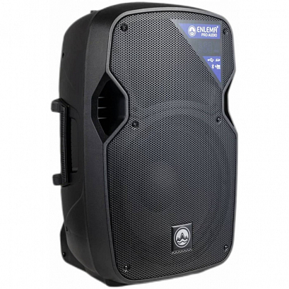 ENLEMA APS 12 -- �������� ������������ ������� 12" 120 ���� RMS 56Hz - 20KHz  SPL - 122��   