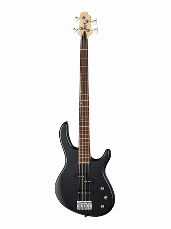 CORT Action-PJ-OPB-- - 4 , 24 ,  ,  