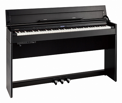ROLAND DP603-CB --  , : 384 : 307 : 230 