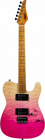 JET JT-450 QTPK -- , Telecaster,  - ,   , 22 , 