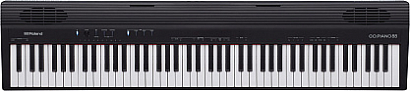 ROLAND GO-88P --   88 , : 128 , Bluetooth  4.0