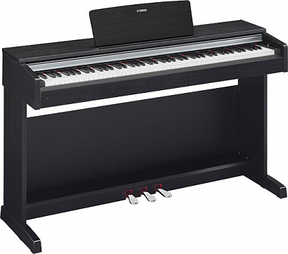 YAMAHA YDP-142B --  , 88  GHS, 64  ., 10 , 50  , 