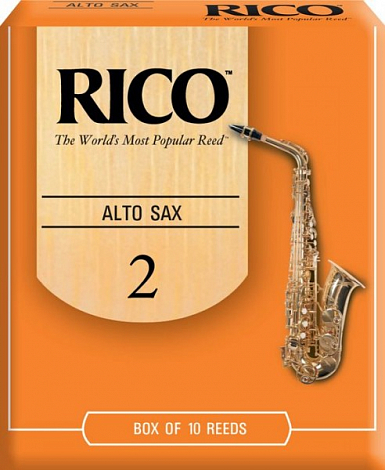 RICO RJA1020 -- ������ ��� ����-��������� �2,  (10��) ���� �� 1��.