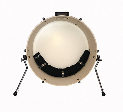  MBD-1 --    -