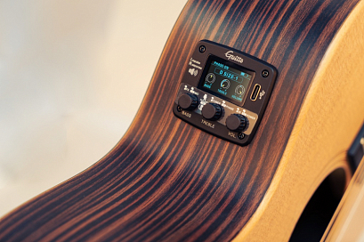 GUITTO GGP-04 -- �������������� ��� ������������ ������, �������������, �����������