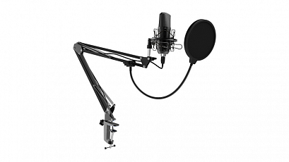 RITMIX RDM-169 black -     + -
