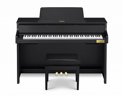CASIO GP-310BK -- �������� �������, 88 ������ ������������ ����, 256 �������, 180 ������, ������� DS