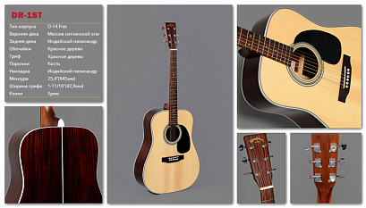 SIGMA DR-1ST --  ,  
