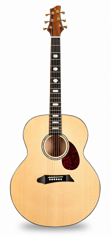 NG JM-800  --  ,  