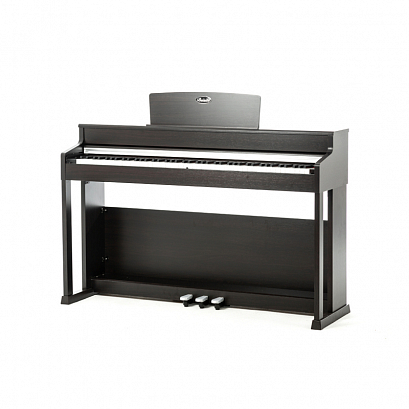 BEISITE B-808 Pro BN --   ,   