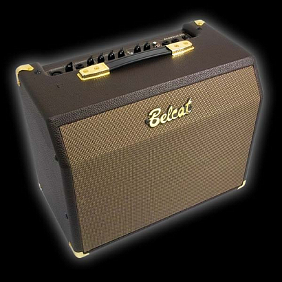 BELCAT Acoustic-25RC --    , 25,   