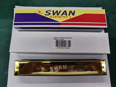 SWAN SW24-1 -- ������ �������� �������������, ����������� - �� �����, 24 ���������, 48 �