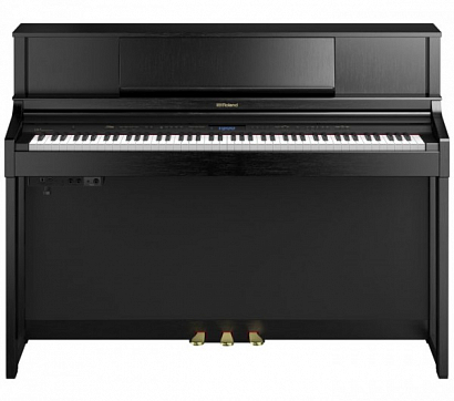 ROLAND LX-7-CB+KSC-84-CB --   ( .)