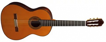PEREZ 640 Cedar --   - -Solid  , -  