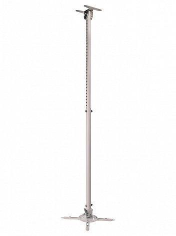 WIZE WPD-W --      + 82-141 c+  