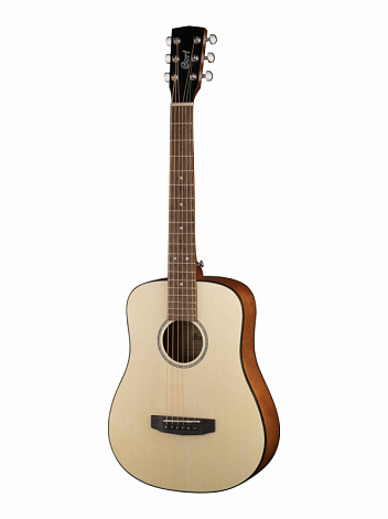 CORT AD-mini-WBAG-OP Standard Series --  ������������ ������ 3/4, ���� �����������, � ������