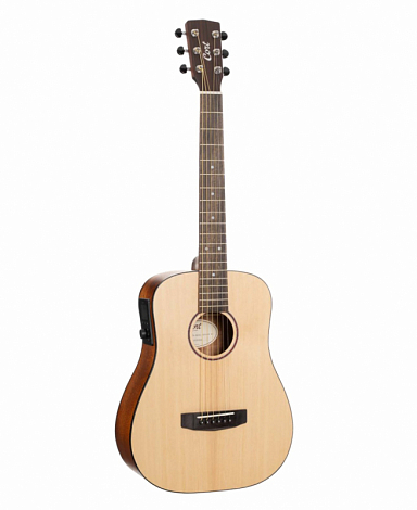 CORT Earth-GO-OP-wbag Earth Series --����������������� ������, ������ 3/4 ���� �����������, � ������