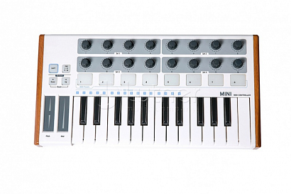 LAUDIO Worldemini -- MIDI-����������, 25 ������