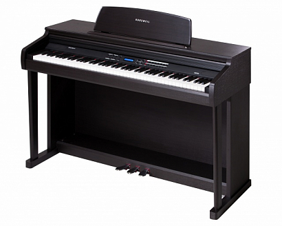 KURZWEIL MP15 SR -- �������� �������, 88 ������, 64 �������� ���������, 128 �������,60 ������,������