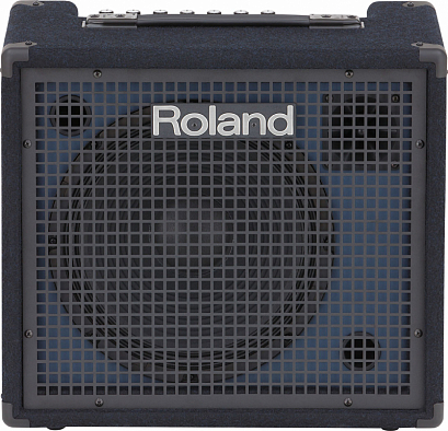 ROLAND KC-200 --  , 100  , 12"