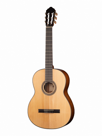 CORT AC200-NAT Classic Series --  ,  , 