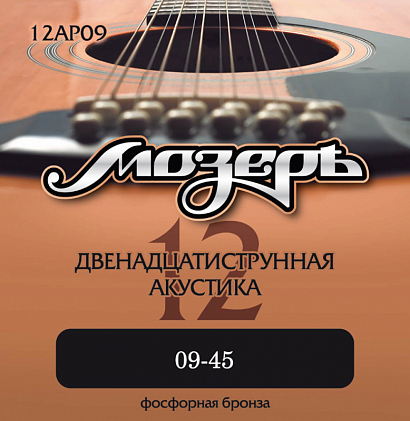  12AP09 --   12-     (.009-045)