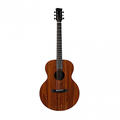 ENYA EA-X1+ --  .  :, , , , , 