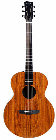 ENYA EM-X1EQ+ --  ,  