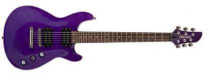 FERNANDES APG STANDARD STP -- , Purple