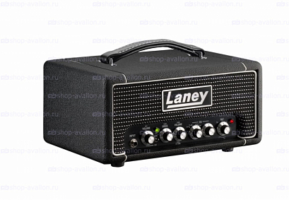 LANEY DBF200H -- ������� ��������� (������) ����� DIGBETH FOUNDRY 200��/4 �� RMS, 2 ������ (�������