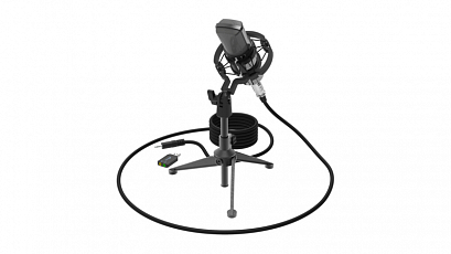 RITMIX RDM-160 black -     +  ""