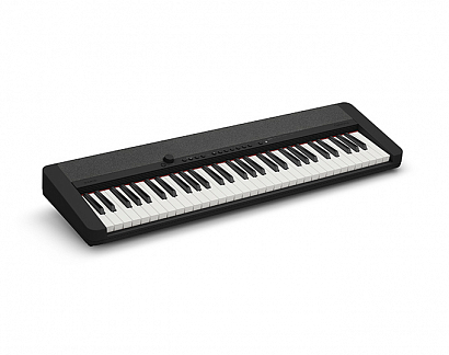 CASIO CT-S1BK -- ����������� ����������� �������, �������� � �������