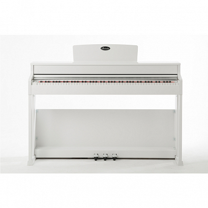 BEISITE B-808 Pro WH --   ,  