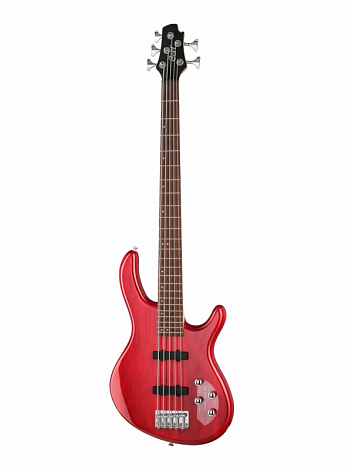 CORT Action-Bass-V-Plus-TR Action Series -- - 5-, 