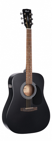 CORT AD810-BKS TRANSACOUSTI--  ,  : , : , 