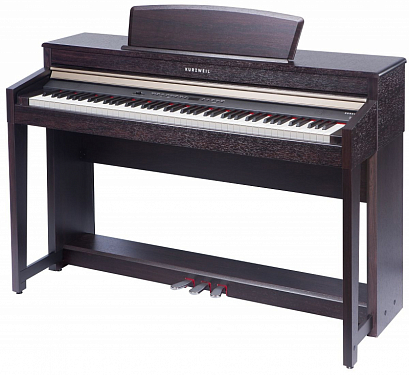 KURZWEIL ANDANTE CUP120 SR -- �������� �������, 88 ��������� ���������� ������,128-�������� ��������