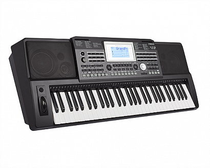 MEDELI A810  -- синтезатор, 61 кл,(touch response) 737 голосов 240 стилей и 160 песен Полифония: 128